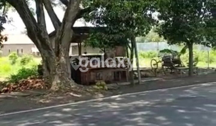 JUAL TANAH PINGGIR JALAN RAYA DAERAH PERGUDANGAN KOTA PASURUAN JUAL TANAH PINGGIR JALAN RAYA DAERAH PERGUDANGAN KOTA PASURUAN