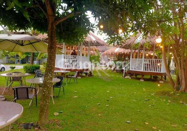 Land For Rent For Cafe Land