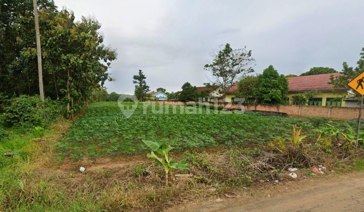 Tanah Luas Pinggir Jalan Lintas Sumatra Desa Wates Lampung Tengah Tanah Luas Pinggir Jalan Lintas Sumatra Desa Wates Lampung Tengah