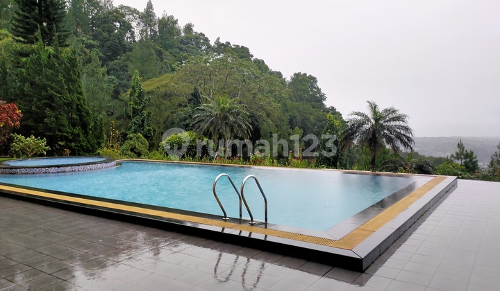For Sale Mountain View Villa in Megamendung Cool Air Good Swimming Pool Ready to Occupied Fully Furnished