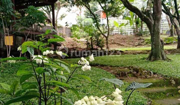 Dijual Rumah Villa Kebun Buah Kolam Renang Kolam Ikan