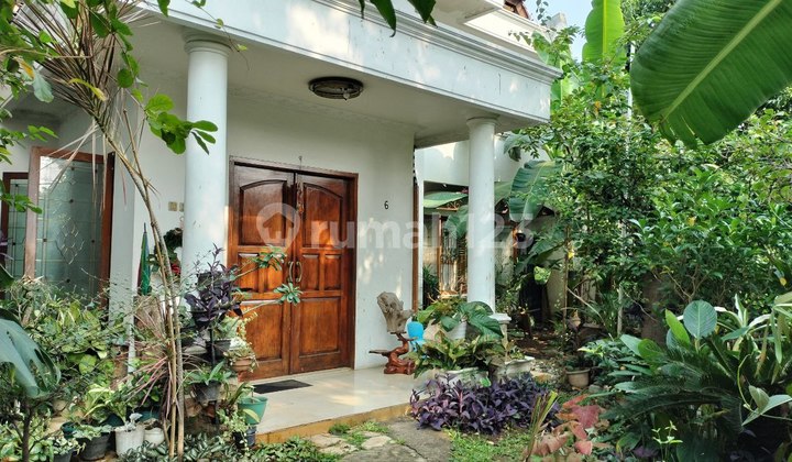 Rumah Taman Bougenville Luas Dan Asri Rumah Taman Bougenville Luas Dan Asri