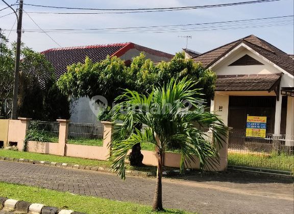 Kemang Pratama House, Spacious, Lush & Super Affordable 2