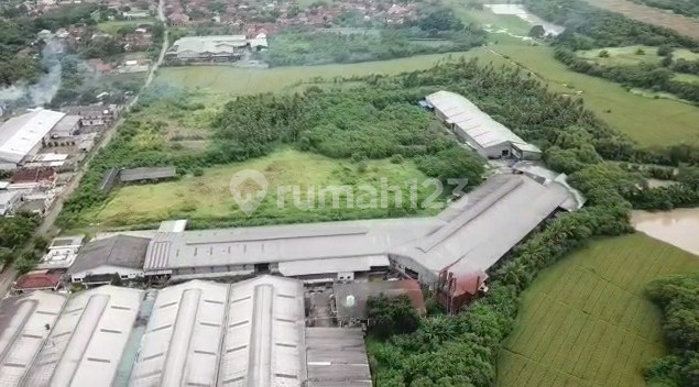 Factory at Kp. Nambo Walantaka (Land Area/Building Area 60,000/18,000 m)