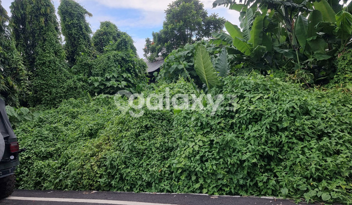 Tanah Pidada Ubung Denpasar, Bali