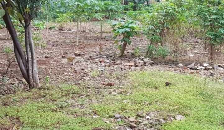 Dijual Tanah Komersial Pinggir Jalan Raya Kebayoran Jakarta Selatan Dijual Tanah Komersial Pinggir Jalan Raya Kebayoran Jakarta Selatan