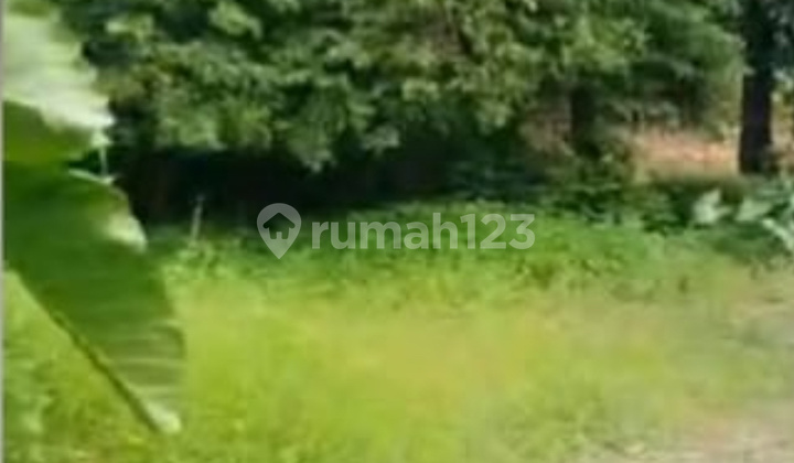 Disewakan Tanah Pasar Minggu Jakarta Selatan Murah 