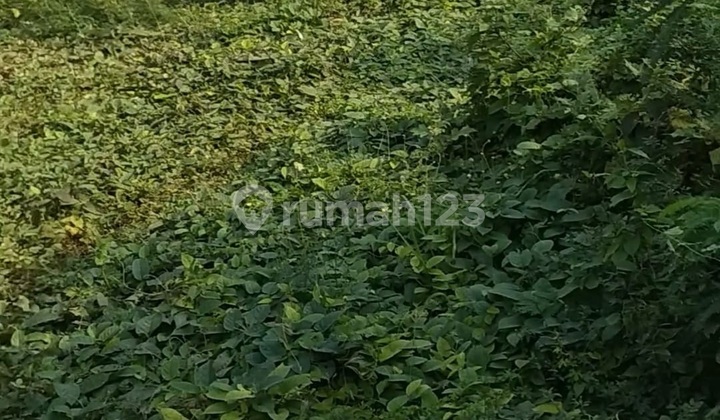 Dijual Tanah Menteng Pusat Kota Mewah Siap Bangun Hotel Posisi Jalan Raya Bagus Banget Invest Dijual Tanah Menteng Pusat Kota Mewah Siap Bangun Hotel Posisi Jalan Raya Bagus Banget Invest