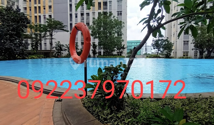 For Rent Fully Furnished Apartment The Springlake Summarecon Bekasi