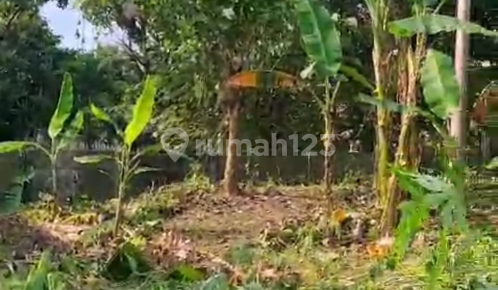 Dijual Tanah Luas 1154m² Shm Jln. Argopuro Dekat Jamu Jago, Surat Kabar Suara Merdeka , Tensindo, Kapolda, Dan Kantor Pos 1