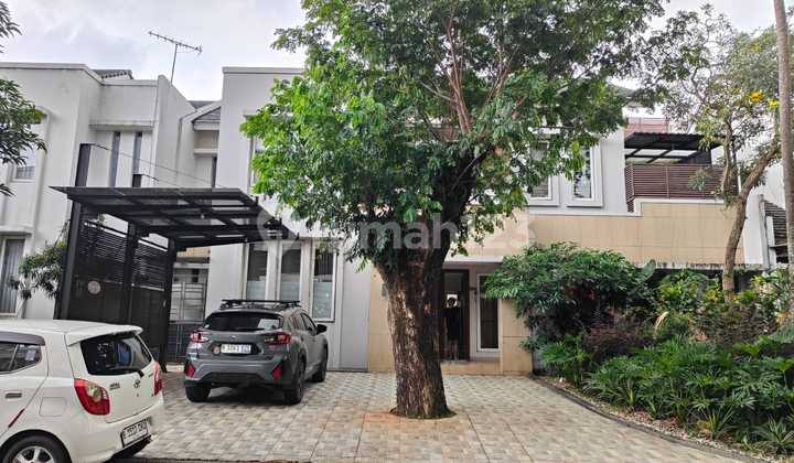 Dijual Rumah Cantik Bagus Siap Dihuni Dilavender Alamsutera Ada Kolam Renang Bangunan Mandiri.