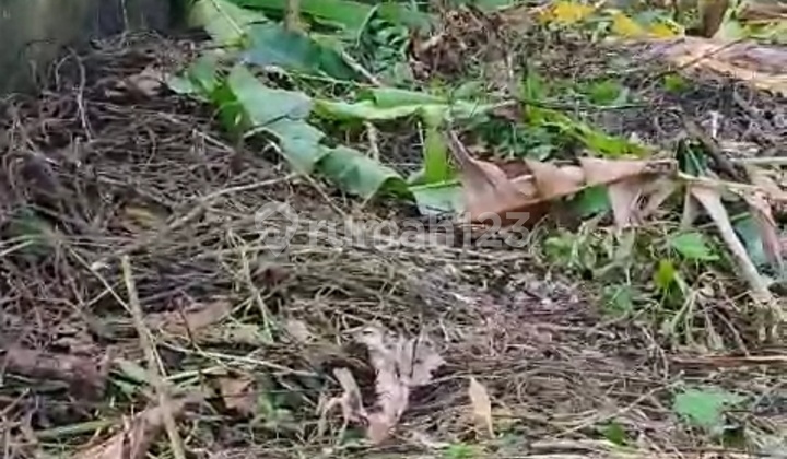 Dijual Tanah Luas 1154m² Shm Jln. Argopuro Dekat Jamu Jago, Surat Kabar Suara Merdeka , Tensindo, Kapolda, Dan Kantor Pos 2