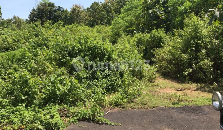 Ocean View Land Pecatu Uluwatu Bali, Only 40 mins to the airport, 15 mins to Bingin Beach, near GWK