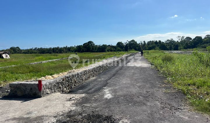 Kavling Siap Bangun View Sawah Asri Lokasi Strategis & Potensial di Tanah Lot, Kedungu - Bali