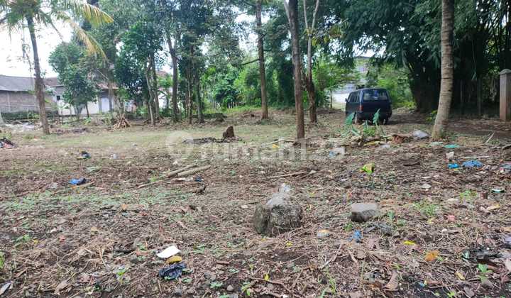 For Sale Strategic Land Location Near Boja Market Kendal Central Java For Sale Strategic Land Location Near Boja Market Kendal Central Java