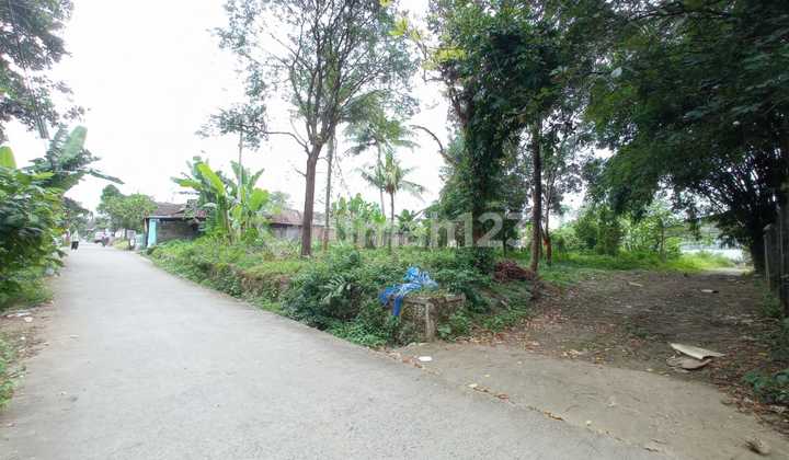 For Sale Strategic Land Location Near Boja Market Kendal Central Java For Sale Strategic Land Location Near Boja Market Kendal Central Java