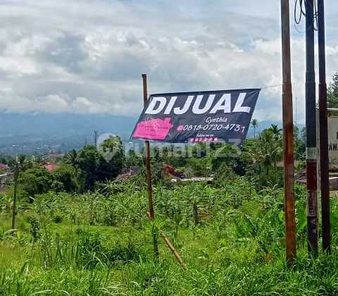 Land in Cigombong, 3 km from the Lido Special Economic Zone. Land in Cigombong, 3 km from the Lido Special Economic Zone.