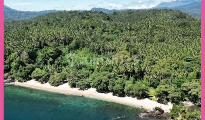 Tanah tepi pantai Canada di Bitung Likupang 139810 m² SHM Tanah tepi pantai Canada di Bitung Likupang 139810 m² SHM
