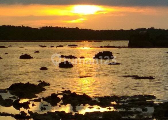 Tanah di Tanjung Batu Pulas Belitung Timur 141 hectare