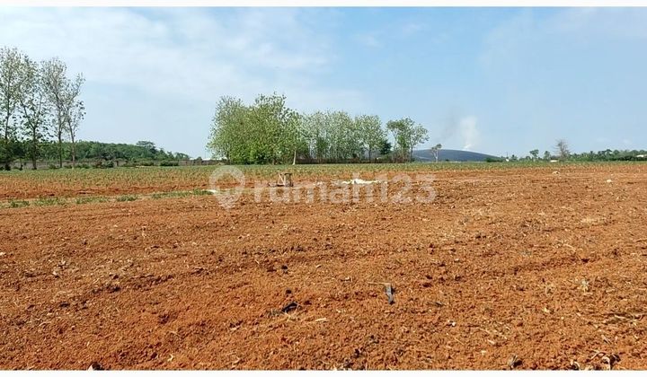 Tanah MURAH  21 hectare SHM Lampung Tengah