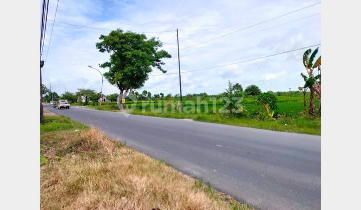 Tanah Industri Jalan Raya Balongpanggang Gresik 5.240M² SHM Lebar Depan 93M Harga 1,8Jt/M²