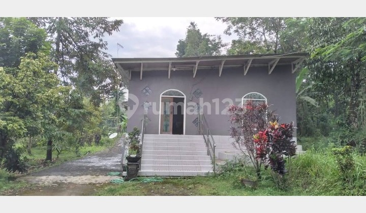 A villa with extensive land at the foot of the mountain in the Taman Dayu area, Prigen, Pasuruan. A villa with extensive land at the foot of the mountain in the Taman Dayu area, Prigen, Pasuruan.