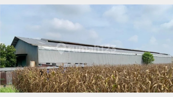 Warehouse area in Domas Menganti near the toll road accessible by container