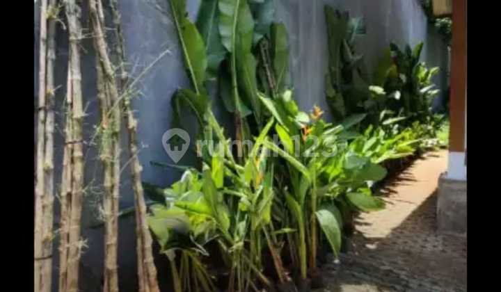 Dijual Rumah Panggung. Area Citra Gran 2