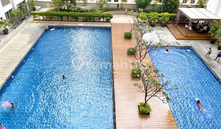Apartemen Oak Tower B Lantai 5 View Kolam Renang Apartemen Oak Tower B Lantai 5 View Kolam Renang