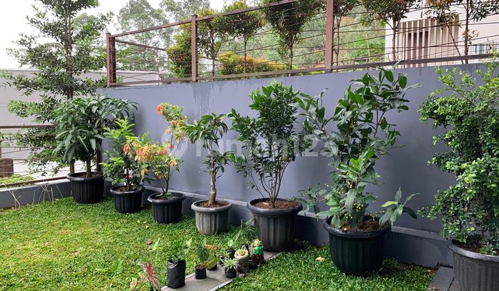 Beautiful House in a Green and Natural Area 2