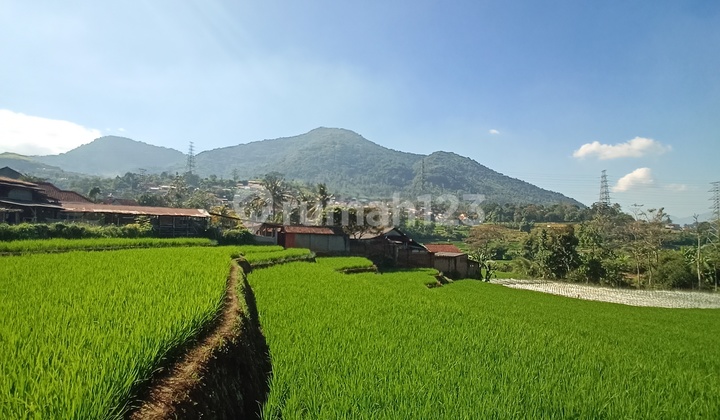 Investasi Cerdas di Akhir Tahun