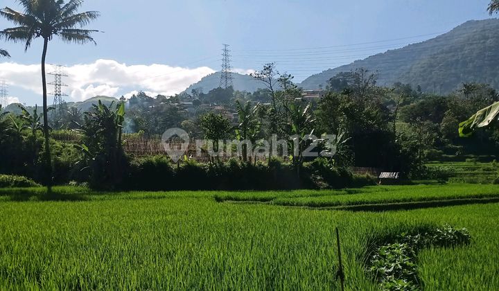 Jual Cepat Lahan Investasi Jual Cepat Lahan Investasi