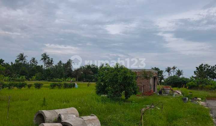 TANAH KAVLING SUPER CANTIK VIEW SAWAH DAN PANTAI DI BELONG, TABANAN