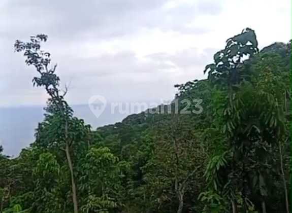 For Sale Land Near Amed Beach Karangasem