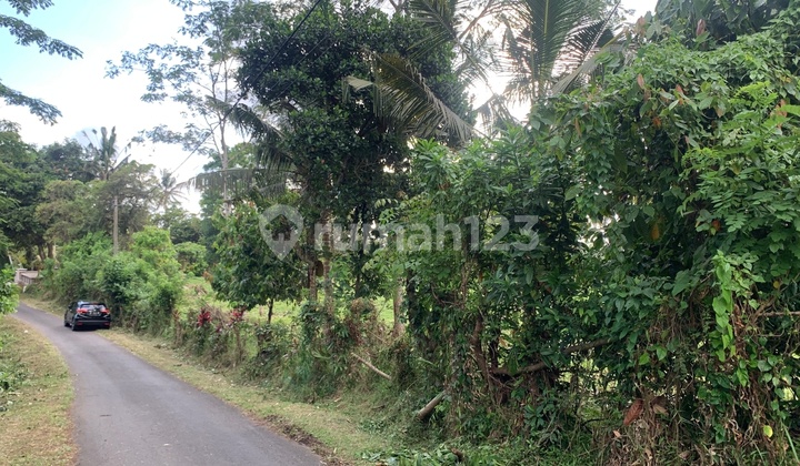 For Sale Land in Banjar Tireman, Bengkel Sari Village, West Selemadeg, Tabanan, Bali.