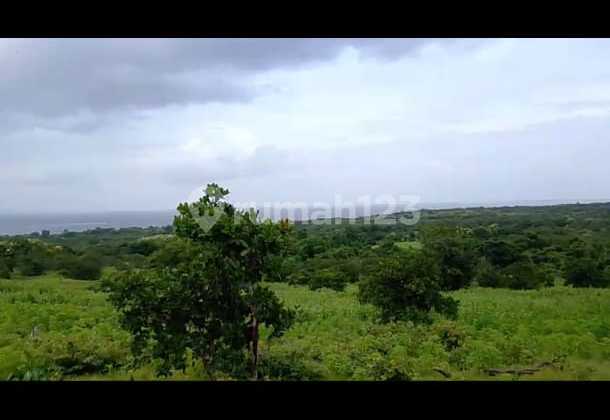 Di Jual Tanah Sumbawa