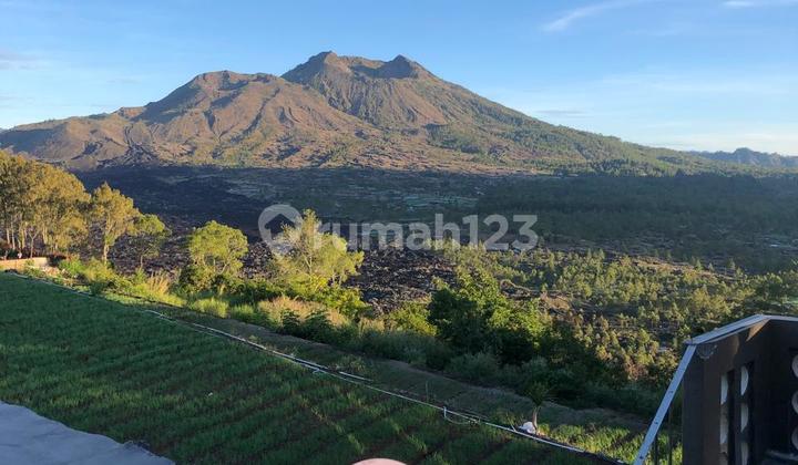 For rent: Villa in Kintamani Area, Bangli For rent: Villa in Kintamani Area, Bangli