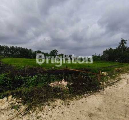 SUPER BEAUTIFUL LAND PLOT WITH RICE FIELD AND BEACH VIEWS IN BELONG, TABANAN