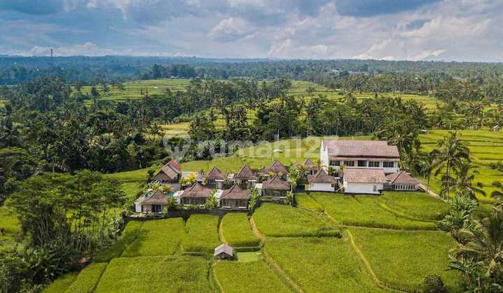 Dijual Villa Resort Tegallalang, Ubud