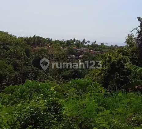 Di Jjual Tanahberlokasi di Taman Ujung Desa Tumbu Karangasem Di Jjual Tanahberlokasi di Taman Ujung Desa Tumbu Karangasem