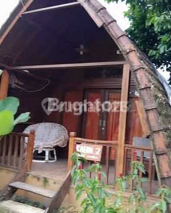 Buy Land Bonus Clamping Ready for Rent