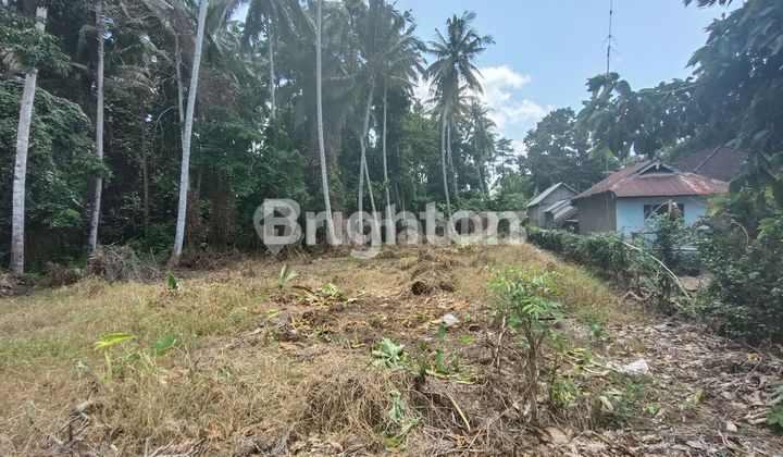 Turun Harga Dijual Tanah Lokasi Strategis di Denbantas Tabanan