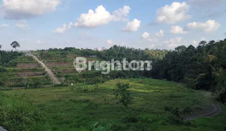 For Sale: Housing Plot Land in Tabanan For Sale: Housing Plot Land in Tabanan