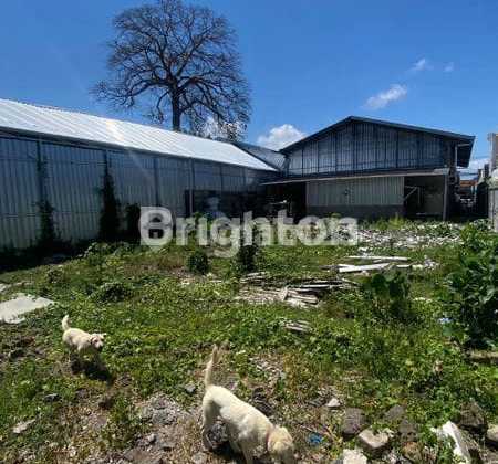 Land for Rent in Panjer, South Denpasar