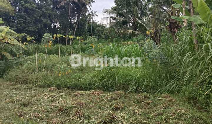 Turun Harga Tanah Kavling Lingkungan Nyaman Cocok Untuk Villa Di Pering Gianyar