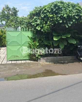 For Rent House in Sanur, South Denpasar