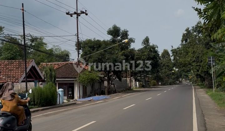 Wide Land Ready to Build - Pasrepan, Pasuruan