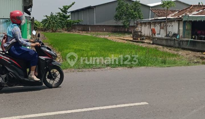 Commercial Industrial Land, SHM, Benjeng, Gresik Commercial Industrial Land, SHM, Benjeng, Gresik