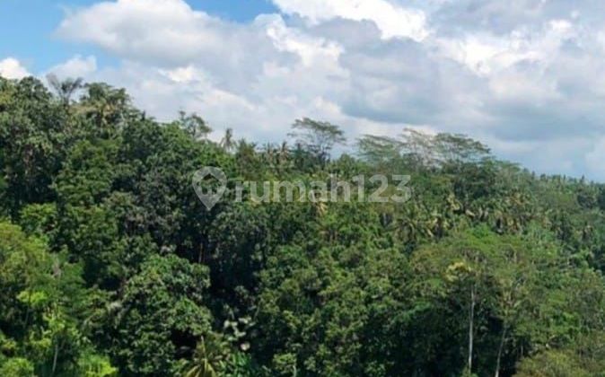Tanah Untuk Disewa - Lokasi Strategis di Pujung, Sebatu, Tegallalang, Ubud