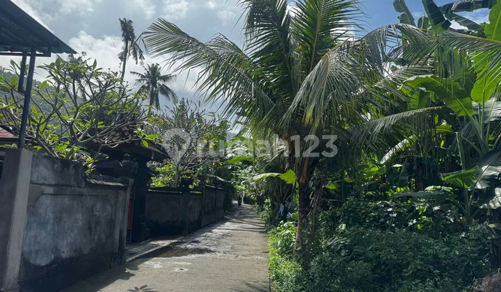 Tanah 1855 m2 di jalan Batu Lempeh Klungkung, dekat Goa Lawah.